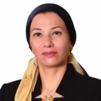 Dr Yasmine Fouad